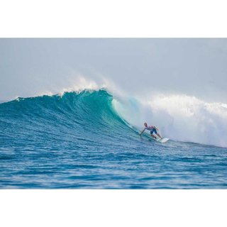 Surfboard TORQ TET 8.0 Longboard Pinline