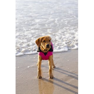 DRYROBE Dog Coat Hundemantel Pink Schwarz XXXL
