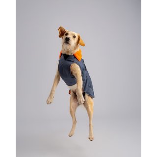 DRYROBE Dog Coat Hundemantel Grau Orange XXXL