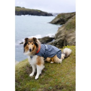 DRYROBE Dog Coat Hundemantel Grau Orange XXXL