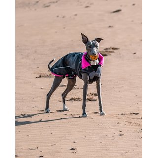 DRYROBE Dog Coat Hundemantel SchwarzCamo Pink XXXL