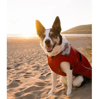 DRYROBE Dog Coat Hundemantel Burnt Orange XXL
