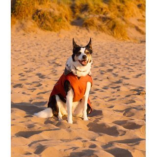 DRYROBE Dog Coat Hundemantel Burnt Orange M